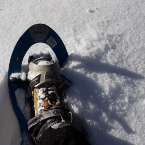 Multi-activités hiver