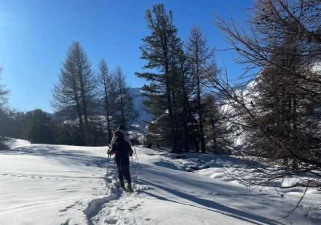 Randonnée raquettes adulte